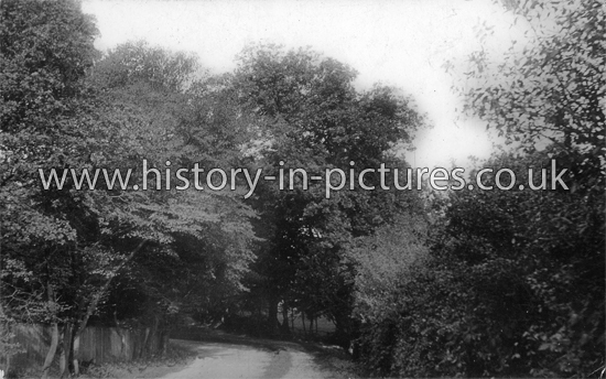 A View of Weald Road, South Weald, Essex. c.1913